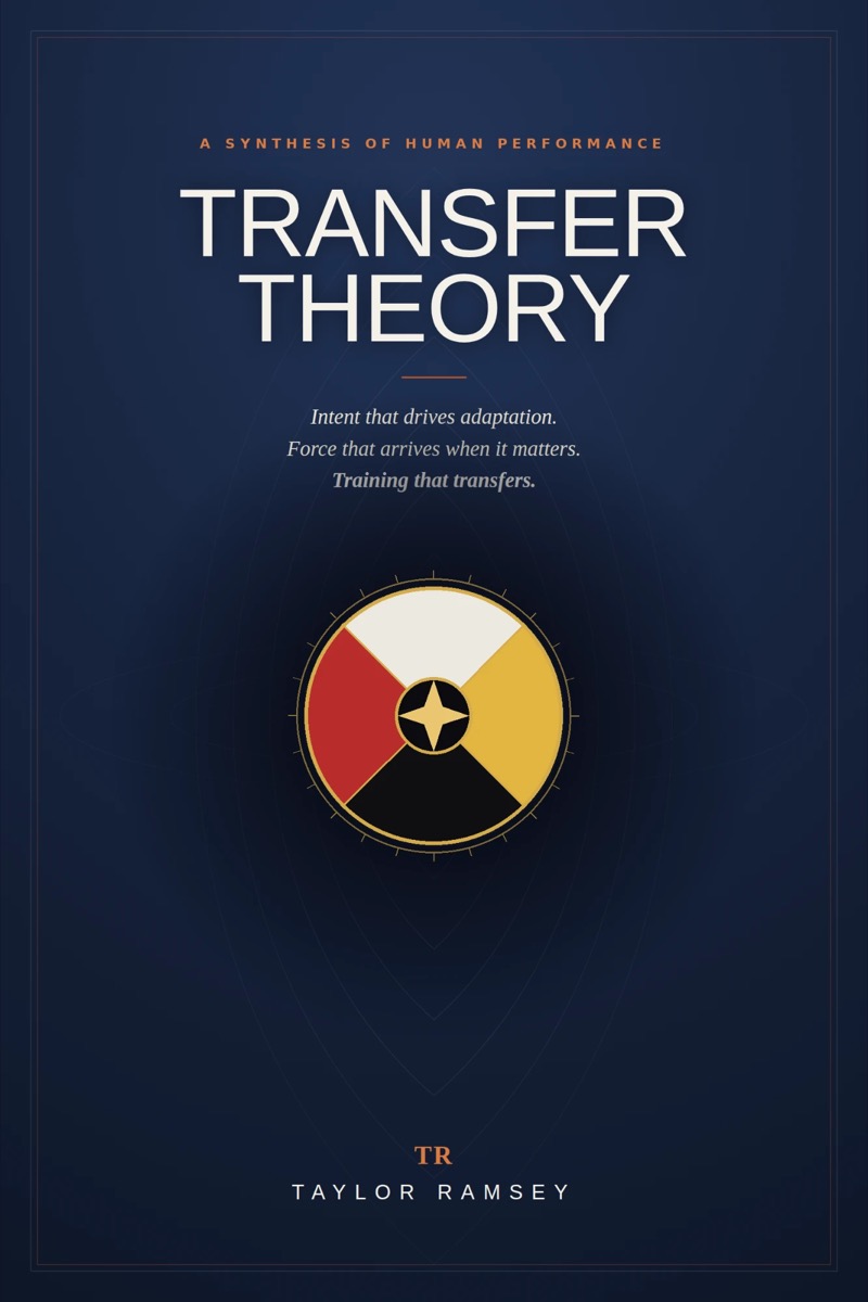 Transfer Theory book cover